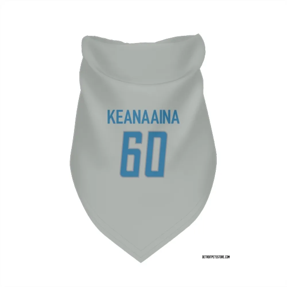 Detroit Lions Aidan Keanaaina Silver Pet Bandana for Dog & Cat
