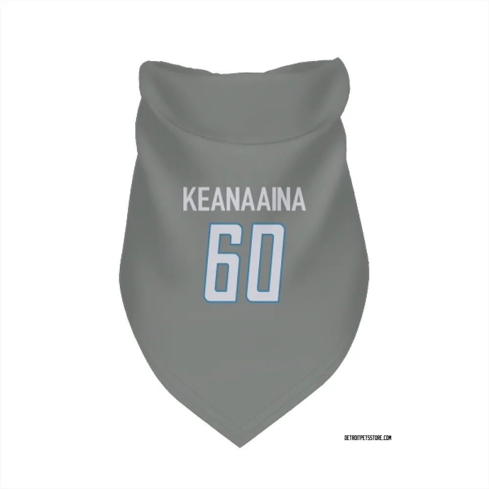 Detroit Lions Aidan Keanaaina Steel Pet Bandana for Dog & Cat