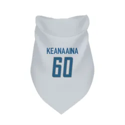 Detroit Lions Aidan Keanaaina White Pet Bandana for Dog & Cat