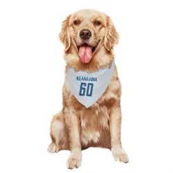 Detroit Lions Aidan Keanaaina White Pet Bandana for Dog & Cat