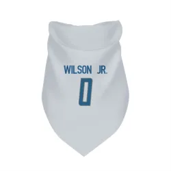 Detroit Lions Cedrick Wilson Jr. White Pet Bandana for Dog & Cat