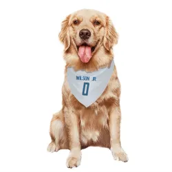Detroit Lions Cedrick Wilson Jr. White Pet Bandana for Dog & Cat