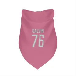 Detroit Lions Connor Galvin Pink Pet Bandana for Dog & Cat