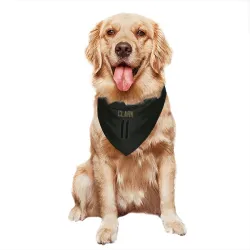 Detroit Lions Damone Clark Black Service Pet Bandana for Dog & Cat