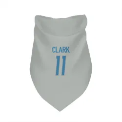 Detroit Lions Damone Clark Silver Pet Bandana for Dog & Cat