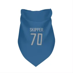 Detroit Lions Dan Skipper Blue Pet Bandana for Dog & Cat