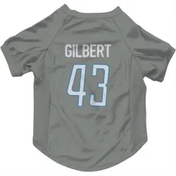 Detroit Lions DaRon Gilbert Steel Pet Jersey for Dog & Cat
