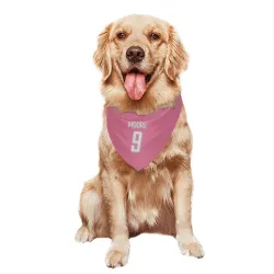 Detroit Lions Derrick Moore Pink Pet Bandana for Dog & Cat