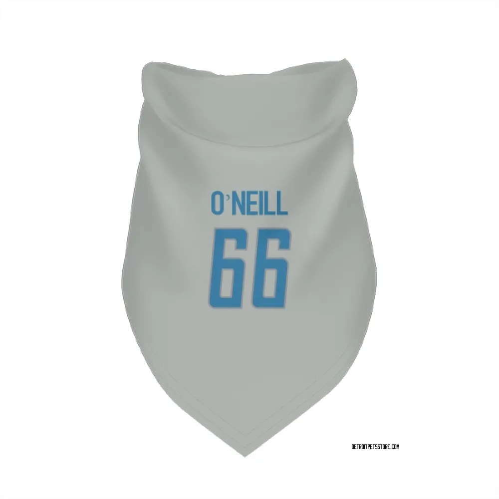 Detroit Lions Eric O'Neill Silver Pet Bandana for Dog & Cat