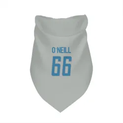Detroit Lions Eric O'Neill Silver Pet Bandana for Dog & Cat