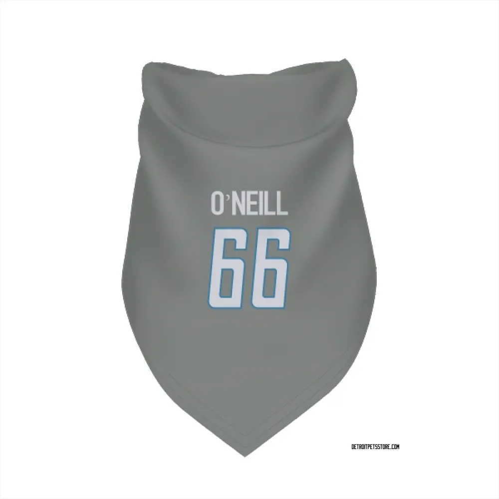 Detroit Lions Eric O'Neill Steel Pet Bandana for Dog & Cat