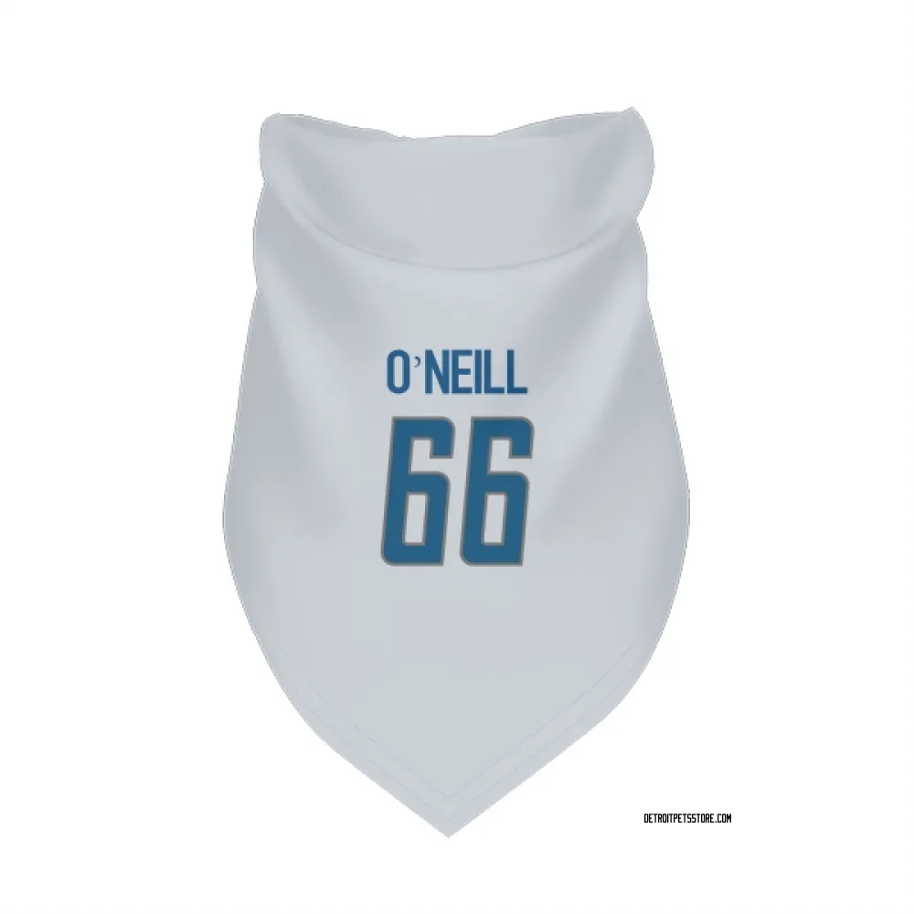 Detroit Lions Eric O'Neill White Pet Bandana for Dog & Cat