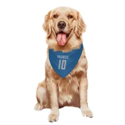 Detroit Lions Isiah Pacheco Blue Pet Bandana for Dog & Cat