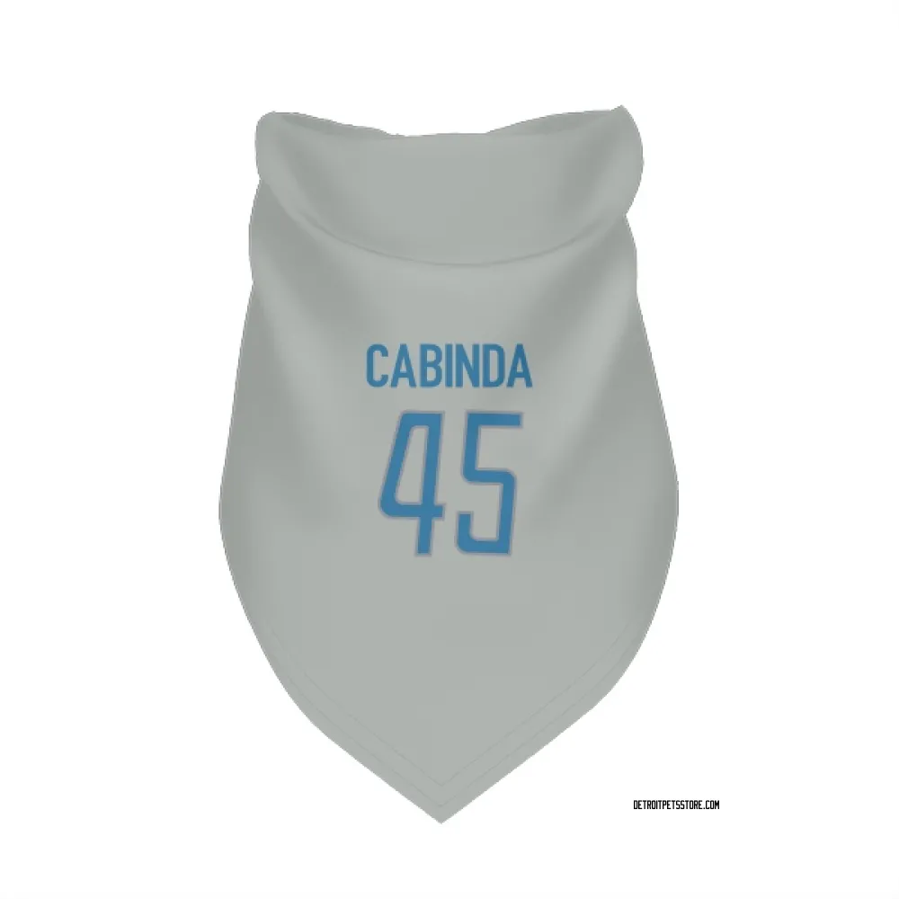 Detroit Lions Jason Cabinda Silver Pet Bandana for Dog & Cat