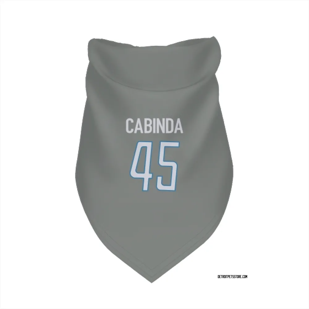 Detroit Lions Jason Cabinda Steel Pet Bandana for Dog & Cat