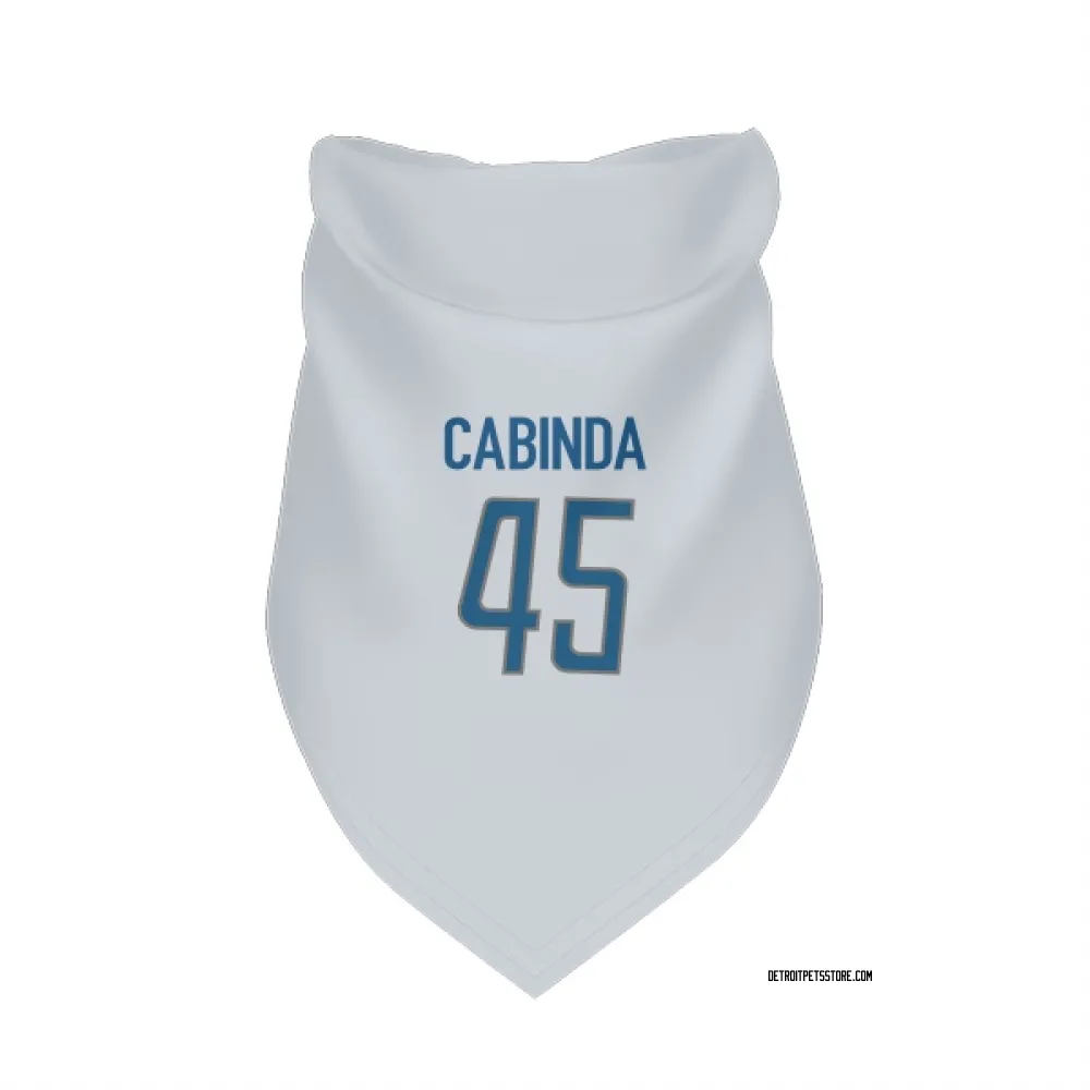 Detroit Lions Jason Cabinda White Pet Bandana for Dog & Cat