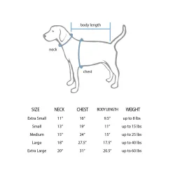 Detroit Lions Jason Cabinda White Pet Jersey for Dog & Cat