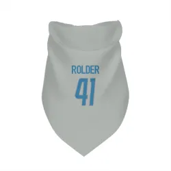 Detroit Lions Jimmy Rolder Silver Pet Bandana for Dog & Cat