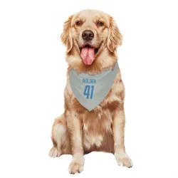 Detroit Lions Jimmy Rolder Silver Pet Bandana for Dog & Cat
