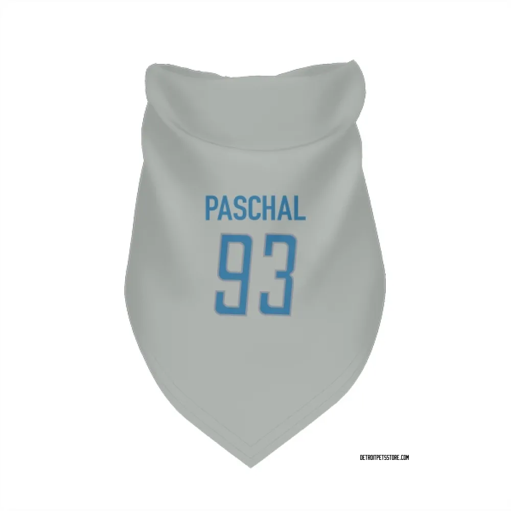 Detroit Lions Josh Paschal Silver Pet Bandana for Dog & Cat