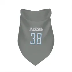 Detroit Lions Justin Jackson Steel Pet Bandana for Dog & Cat