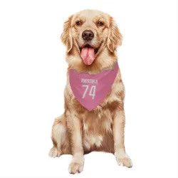 Detroit Lions Kayode Awosika Pink Pet Bandana for Dog & Cat