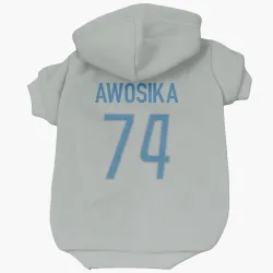 Detroit Lions Kayode Awosika Silver Pet Hoodie for Dog & Cat