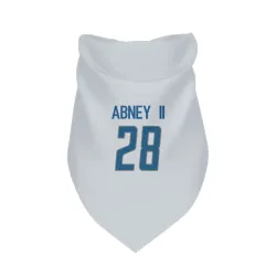 Detroit Lions Keith Abney II White Pet Bandana for Dog & Cat