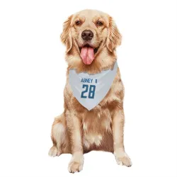 Detroit Lions Keith Abney II White Pet Bandana for Dog & Cat