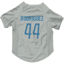 Detroit Lions Malcolm Rodriguez Silver Pet Jersey for Dog & Cat