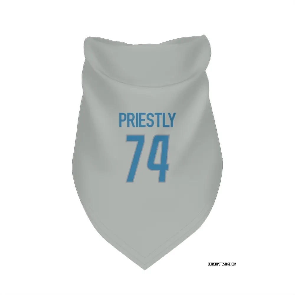 Detroit Lions Melvin Priestly Silver Pet Bandana for Dog & Cat