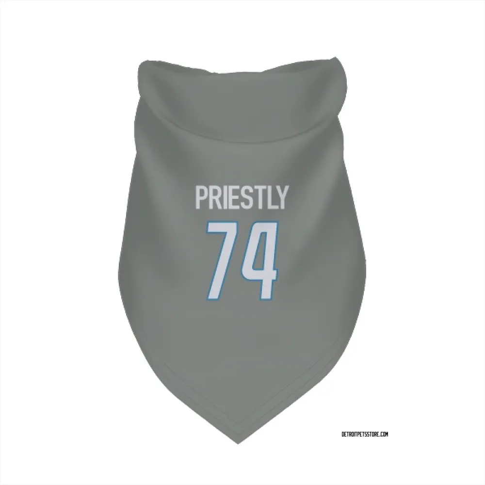 Detroit Lions Melvin Priestly Steel Pet Bandana for Dog & Cat