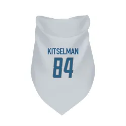 Detroit Lions Miles Kitselman White Pet Bandana for Dog & Cat