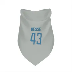 Detroit Lions Parker Hesse Silver Pet Bandana for Dog & Cat