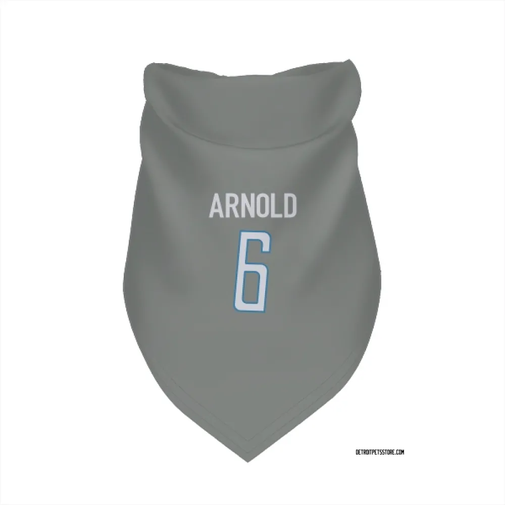 Detroit Lions Terrion Arnold Steel Pet Bandana for Dog & Cat