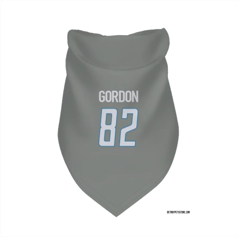 Detroit Lions Thomas Gordon Steel Pet Bandana for Dog & Cat