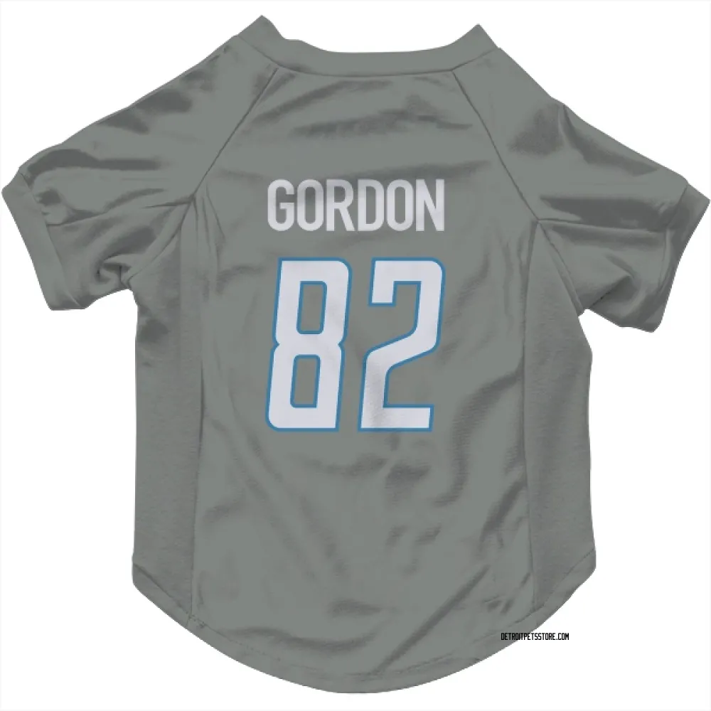 Detroit Lions Thomas Gordon Steel Pet Jersey for Dog & Cat