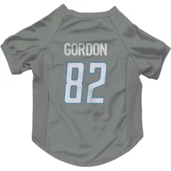 Detroit Lions Thomas Gordon Steel Pet Jersey for Dog & Cat