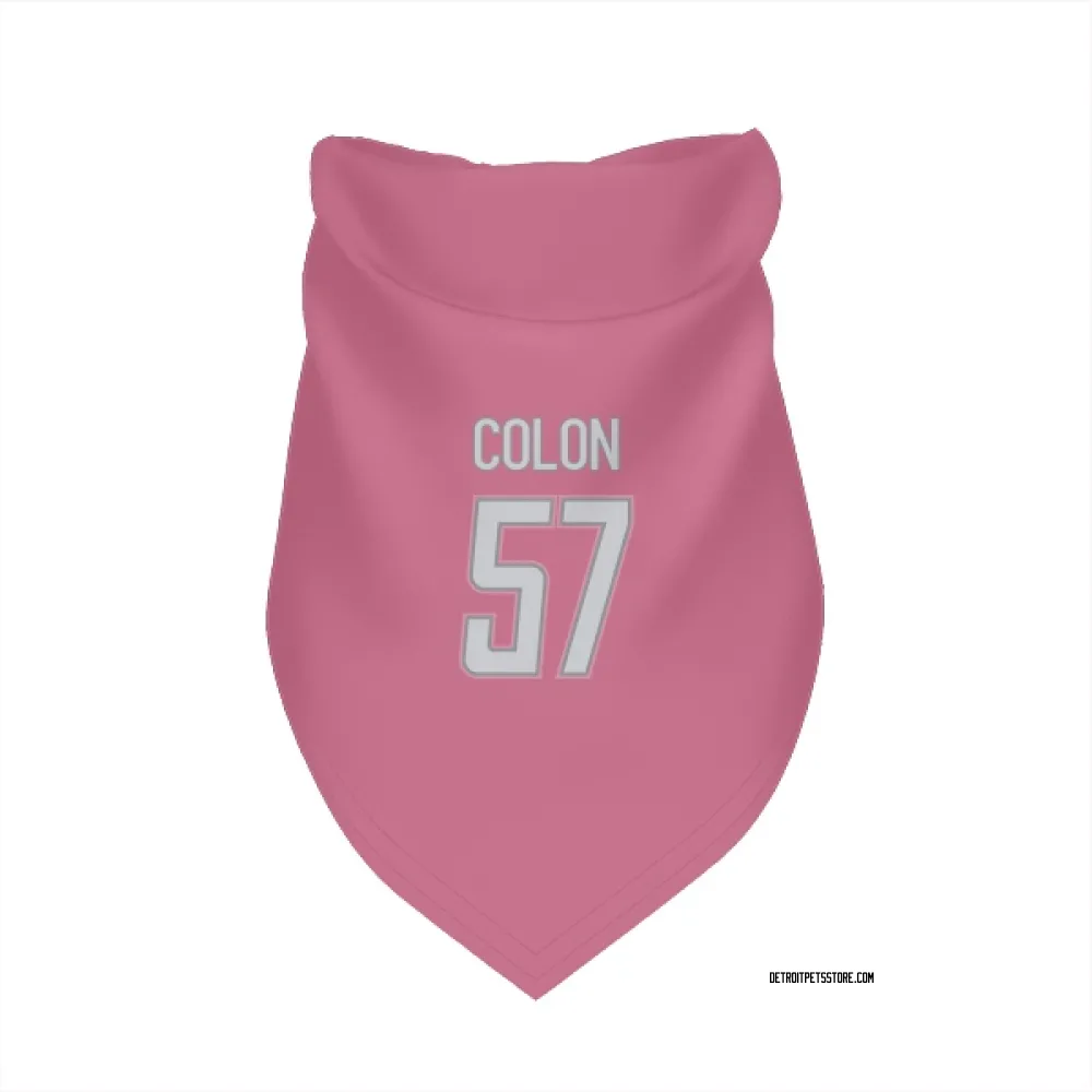 Detroit Lions Trystan Colon Pink Pet Bandana for Dog & Cat