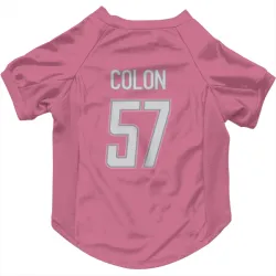 Detroit Lions Trystan Colon Pink Pet Jersey for Dog & Cat