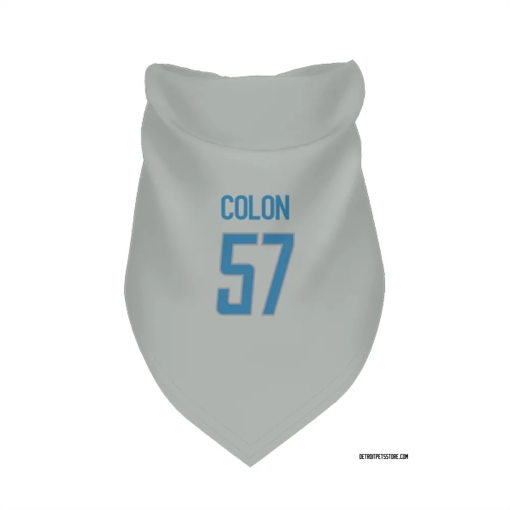 Detroit Lions Trystan Colon Silver Pet Bandana for Dog & Cat
