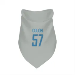 Detroit Lions Trystan Colon Silver Pet Bandana for Dog & Cat