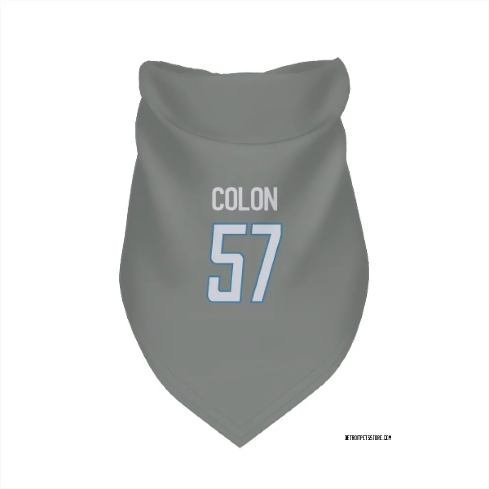 Detroit Lions Trystan Colon Steel Pet Bandana for Dog & Cat