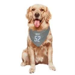 Detroit Lions Tyre West Steel Pet Bandana for Dog & Cat