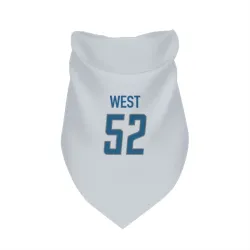 Detroit Lions Tyre West White Pet Bandana for Dog & Cat