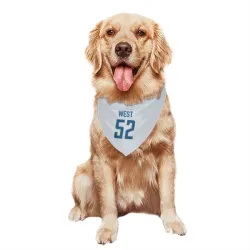 Detroit Lions Tyre West White Pet Bandana for Dog & Cat